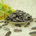 striped sunflower seeds